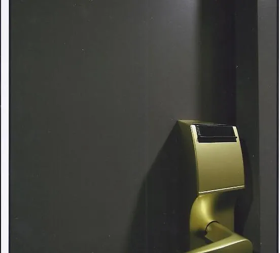 מלון Grand De La Basilique לורדה